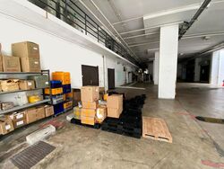 Trivex (D13), Factory #561001441